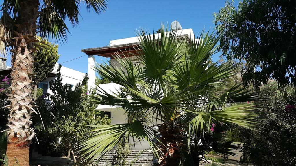Alfa Apartments Bodrum Extérieur photo