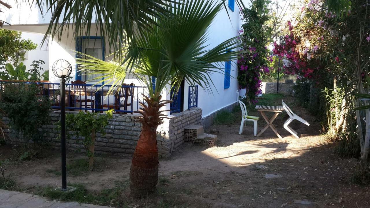 Alfa Apartments Bodrum Extérieur photo