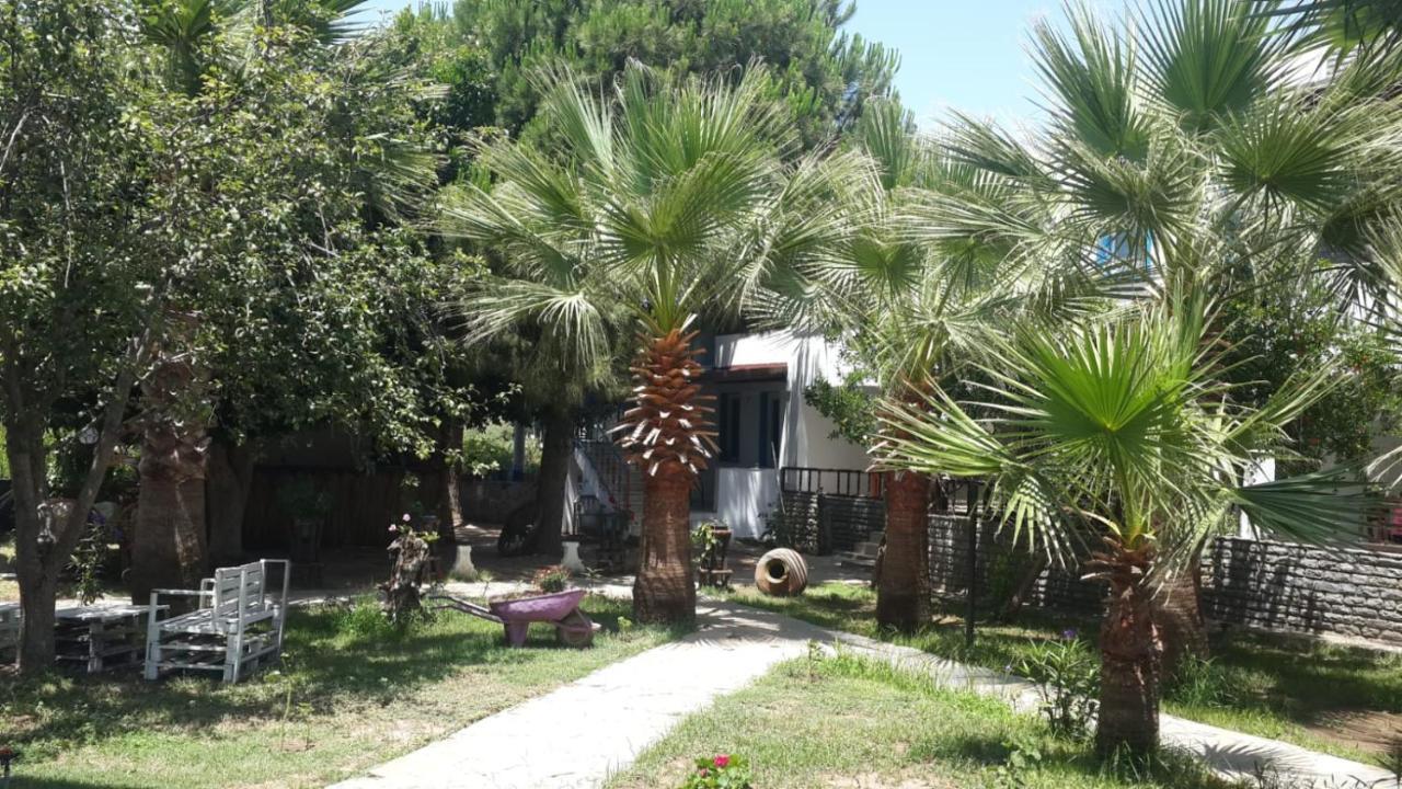 Alfa Apartments Bodrum Extérieur photo